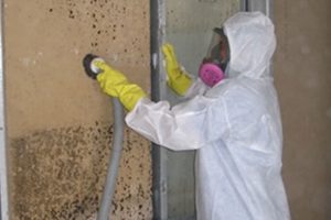 3 Signs that You Need Mold Remediation Services