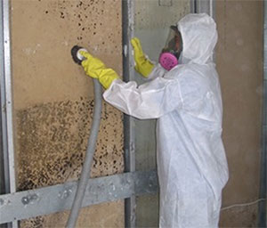 3 Signs that You Need Mold Remediation Services