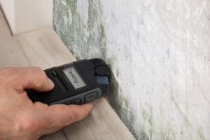 A Mold Inspection Can Prevent Major Damage and Expenses
