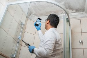 When a Mold Inspection is Necessary