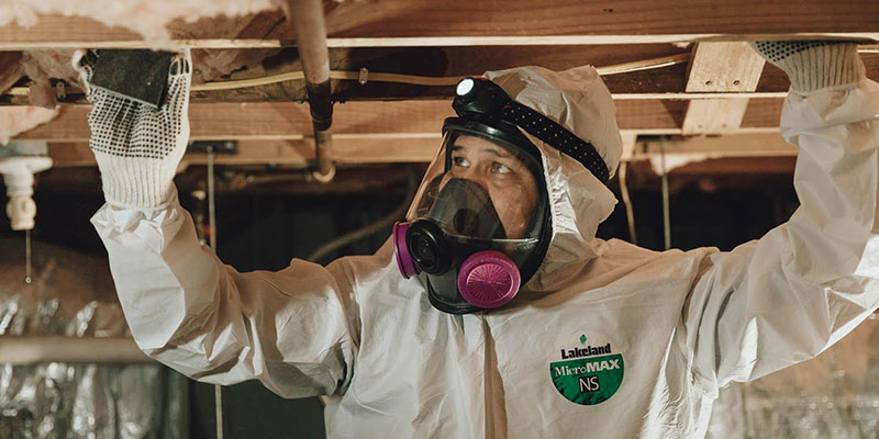 Is it Safe to Do Your Own Black Mold Removal?