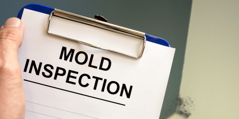 Mold Inspection in Raleigh, North Carolina