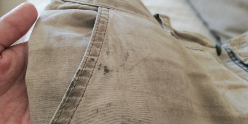 Look Out for These Lesser-Known Signs of Mold Damage